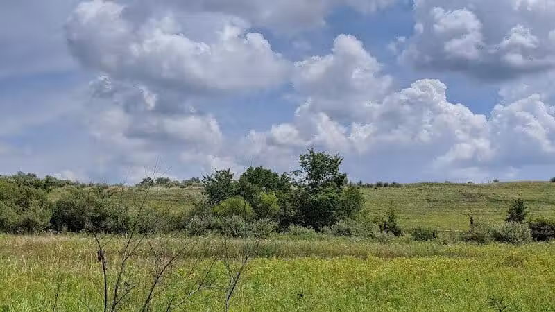 Merrell Trail - Belmont, MI