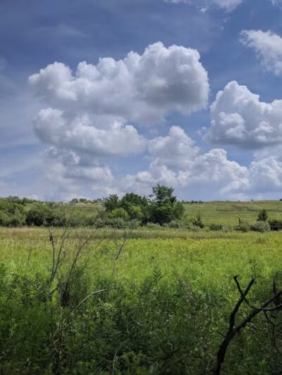 Merrell Trail - Belmont, MI