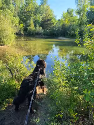 Rogue River Park - Belmont, MI