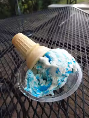 Trailside Treats - Belmont, MI