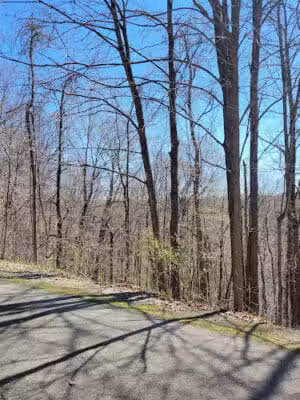 White Pine Trail - Belmont, MI