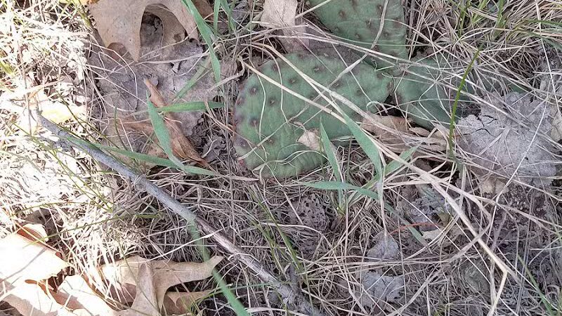 Public Parking - Belmont, MI