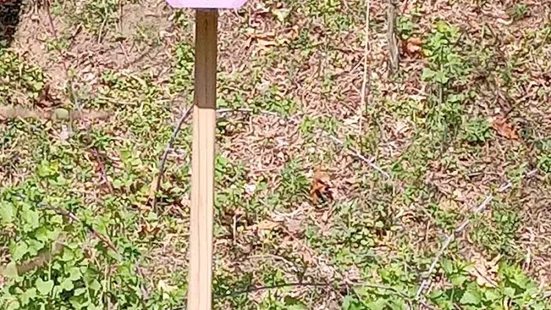 Public Parking - Belmont, MI