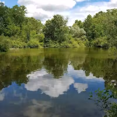 Rogue River Park - Belmont, MI
