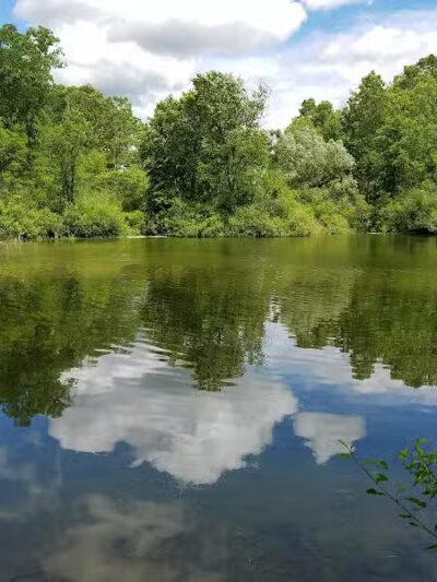 Rogue River Park - Belmont, MI