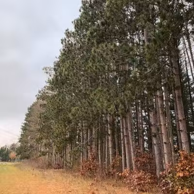 Rogue River Park - Belmont, MI