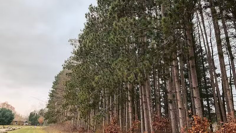 Rogue River Park - Belmont, MI