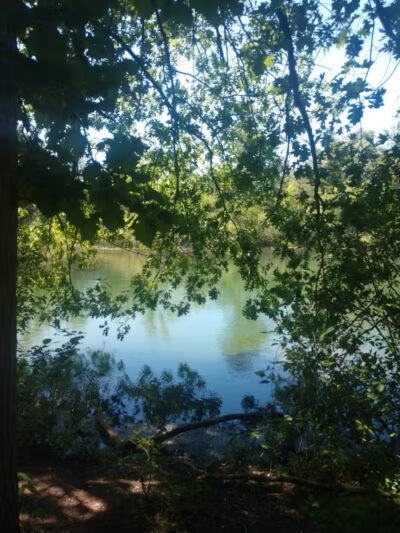 Rogue River Park - Belmont, MI