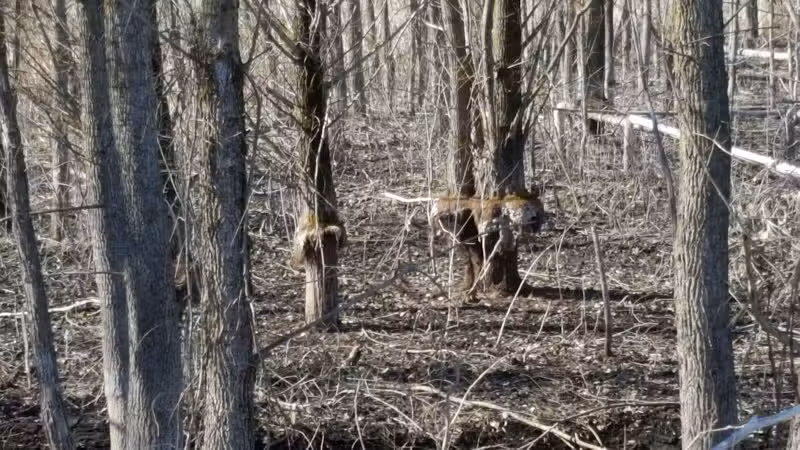Rogue River Park - Belmont, MI