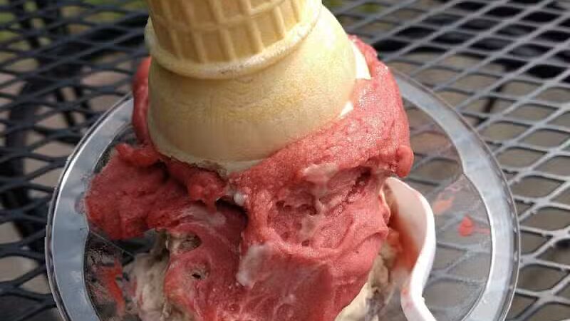 Trailside Treats - Belmont, MI