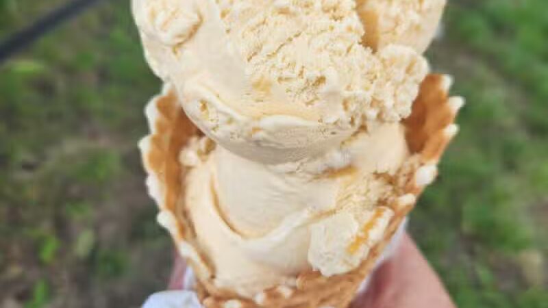 Trailside Treats - Belmont, MI