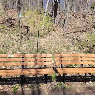 White Pine Trail - Belmont, MI