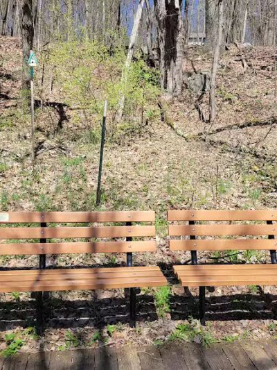 White Pine Trail - Belmont, MI