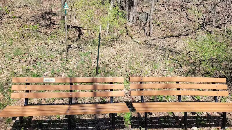 White Pine Trail - Belmont, MI