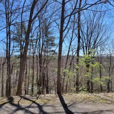 White Pine Trail - Belmont, MI