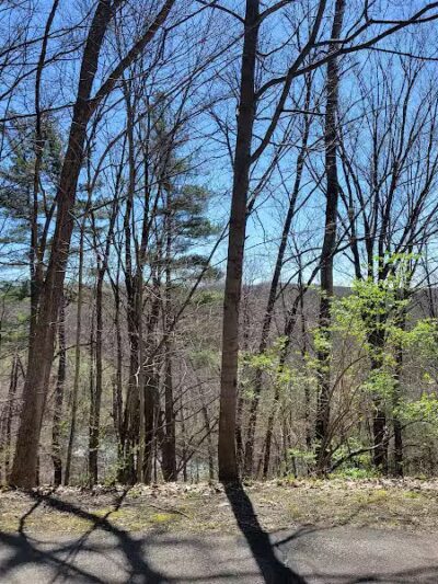 White Pine Trail - Belmont, MI