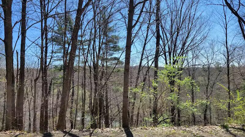 White Pine Trail - Belmont, MI