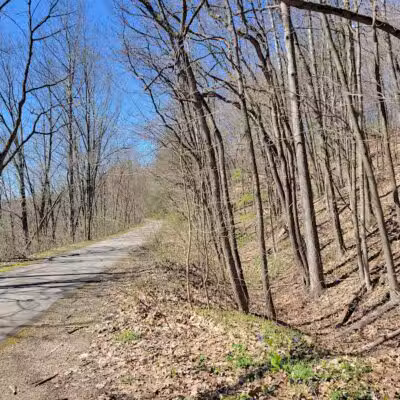 White Pine Trail - Belmont, MI