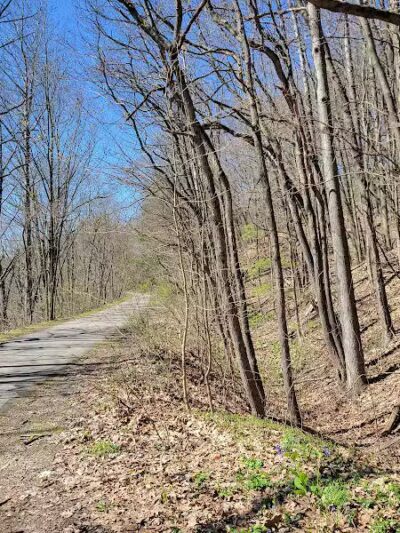 White Pine Trail - Belmont, MI