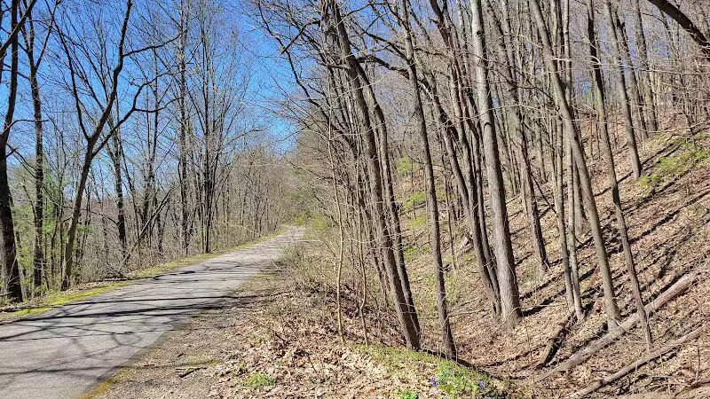 White Pine Trail - Belmont, MI