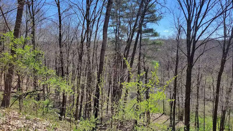 White Pine Trail - Belmont, MI