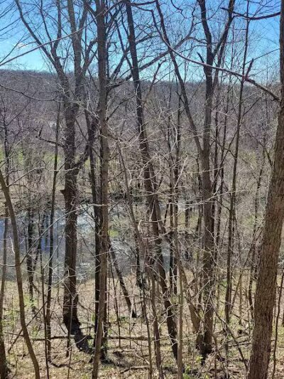 White Pine Trail - Belmont, MI