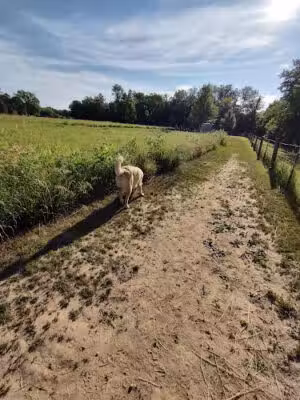 BCCD dog park - Belvidere, IL