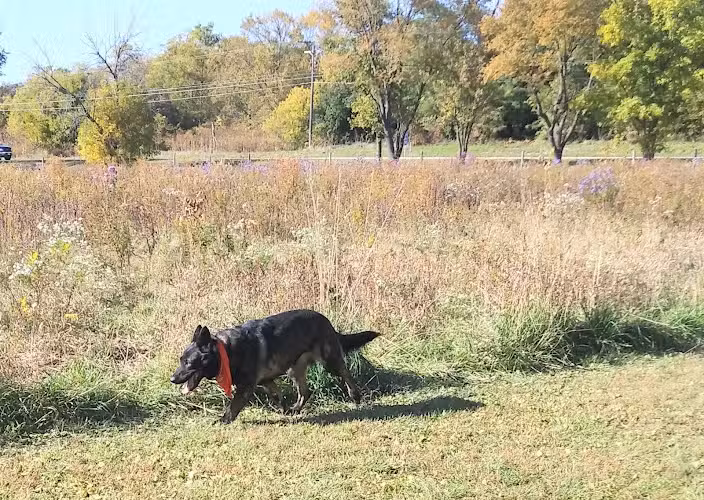 BCCD Hammertime Unleashed Dog Park - Belvidere, IL