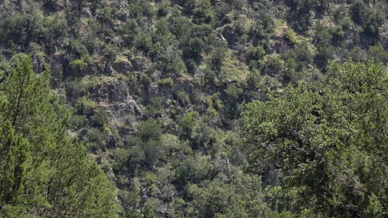 Colorado Bend State Park - Bend, TX