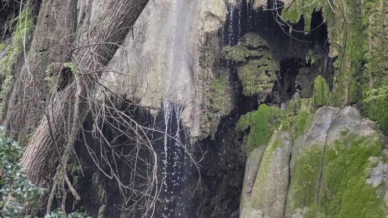 Colorado Bend State Park - Bend, TX