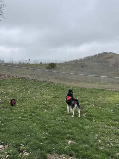 Benicia Dog Park - Benicia, CA