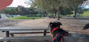 Benicia Dog Park - Benicia, CA