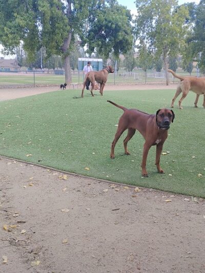 Benicia Dog Park - Benicia, CA