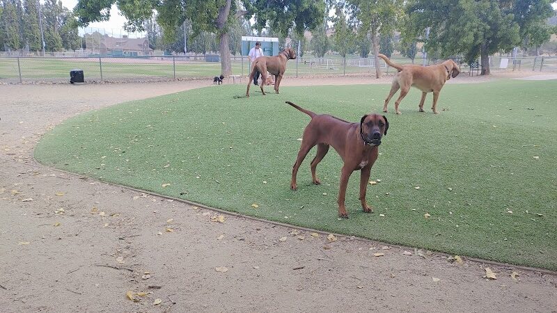 Benicia Dog Park - Benicia, CA