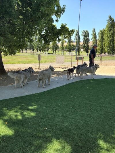 Benicia Dog Park - Benicia, CA