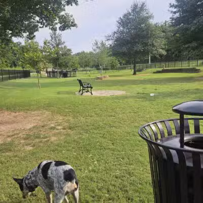 Bark Park - Bentonville, AR