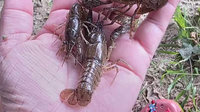 Shenandoah River State Park - Bentonville, VA
