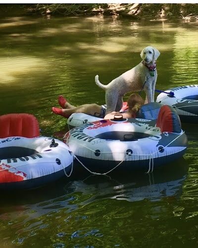 Shenandoah River State Park - Bentonville, VA
