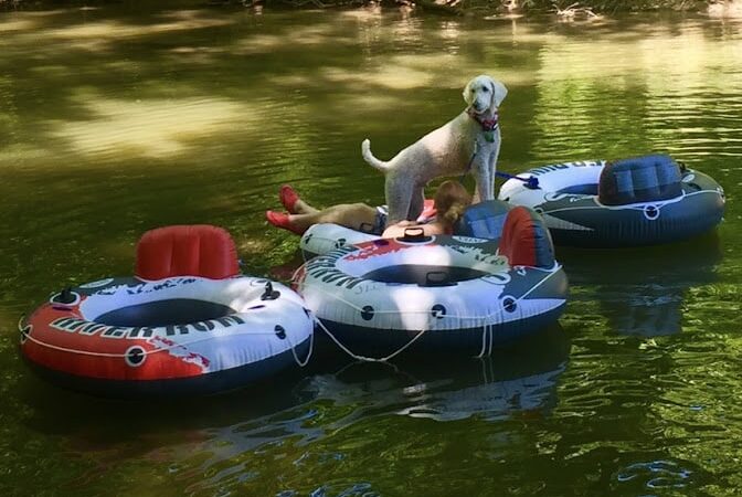 Shenandoah River State Park - Bentonville, VA