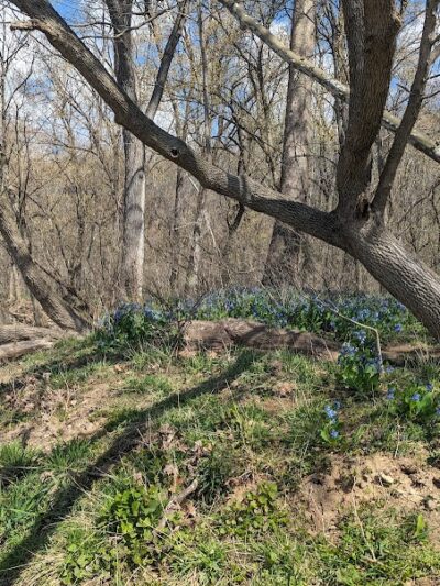 Shenandoah River State Park - Bentonville, VA