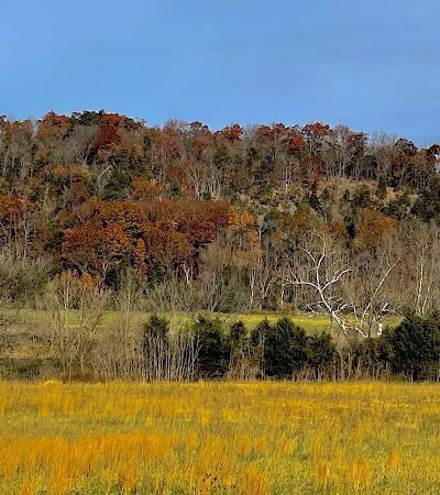 Shenandoah River State Park - Bentonville, VA