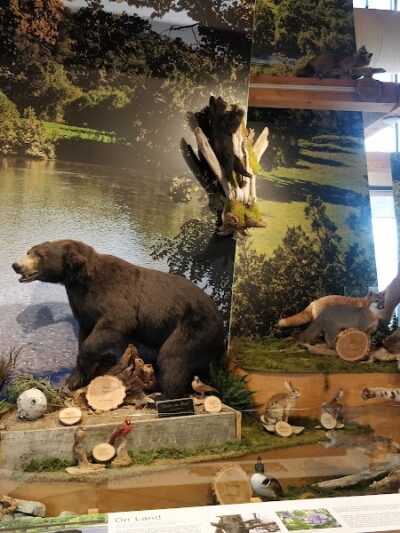 Shenandoah River State Park - Bentonville, VA