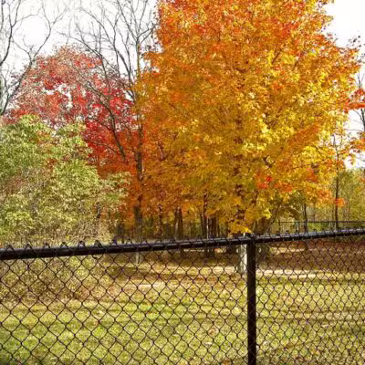 Benzonia Township Memorial Dog Park - Benzonia,