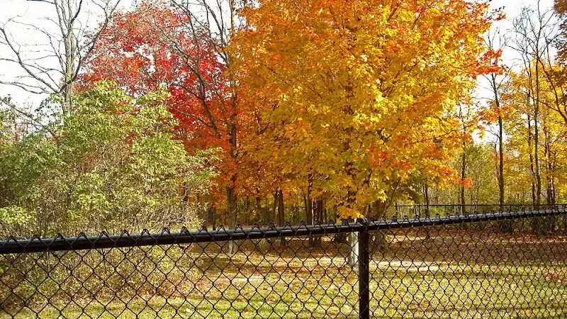 Benzonia Township Memorial Dog Park - Benzonia,