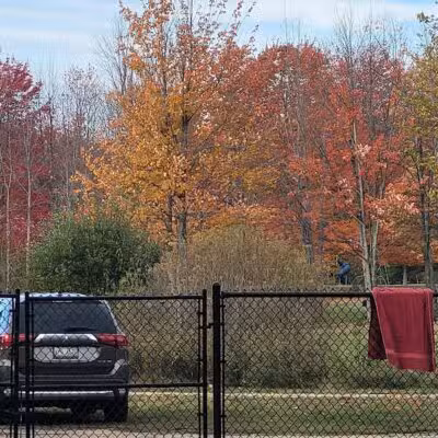 Benzonia Township Memorial Dog Park - Benzonia,
