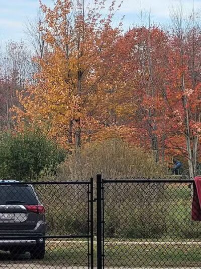 Benzonia Township Memorial Dog Park - Benzonia,