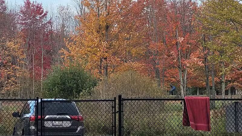 Benzonia Township Memorial Dog Park - Benzonia,