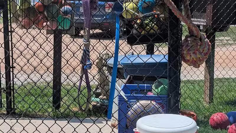 Benzonia Township Memorial Dog Park - Benzonia,