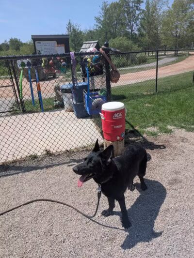 Benzonia Township Memorial Dog Park - Benzonia,