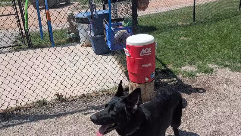 Benzonia Township Memorial Dog Park - Benzonia,